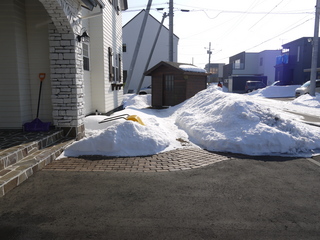 P1030882.JPG