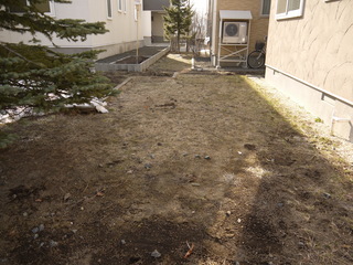 P1040006.JPG