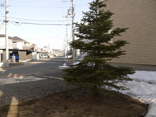 P1040014.JPG