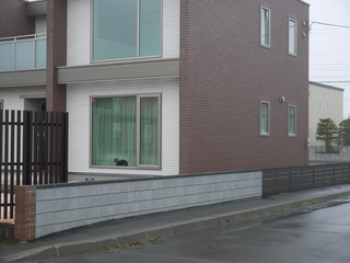 P1040202.JPG