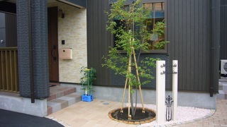P1110579.JPG(加工済).jpg